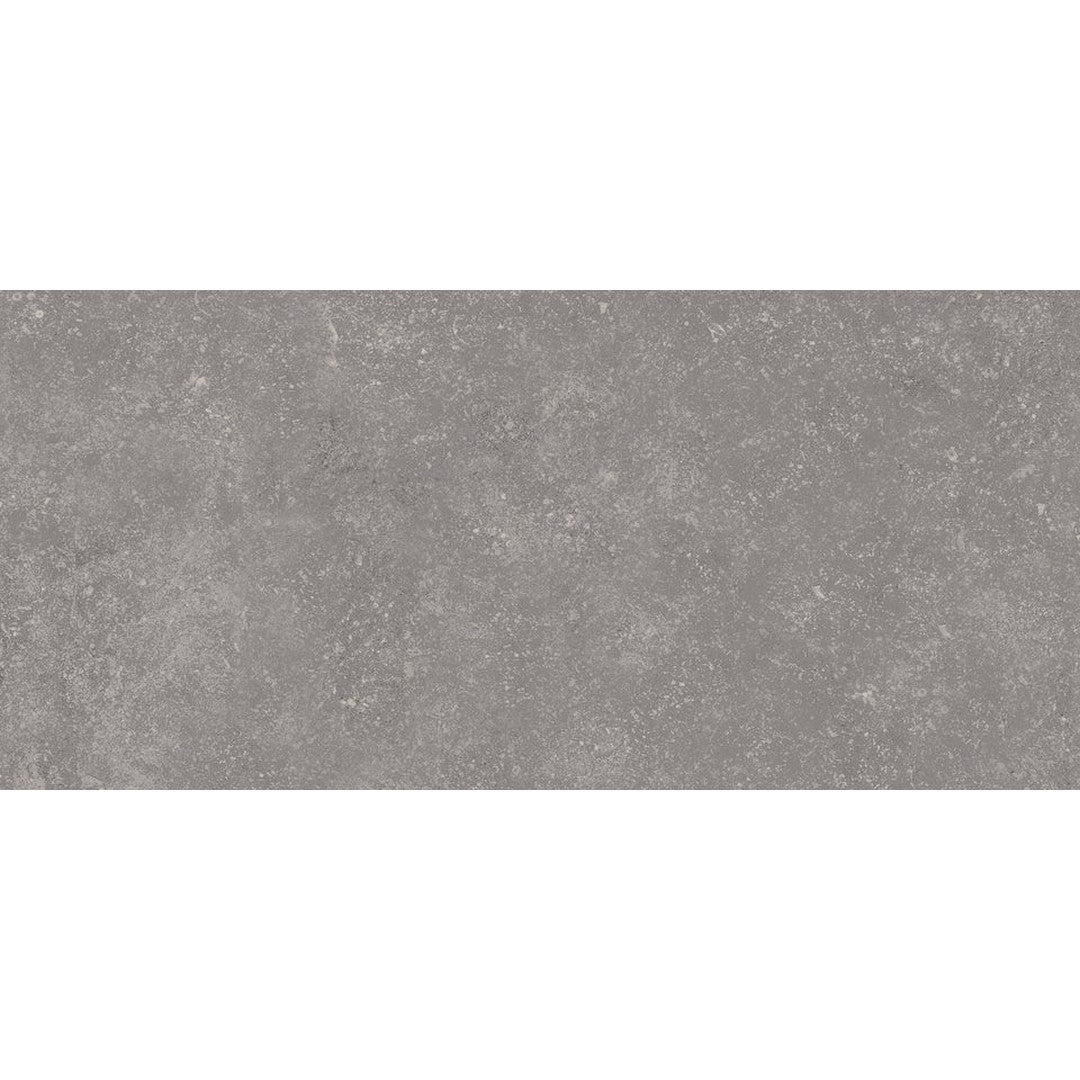 Xtra 16" x 31" Matte Porcelain Paver Tile by Emser