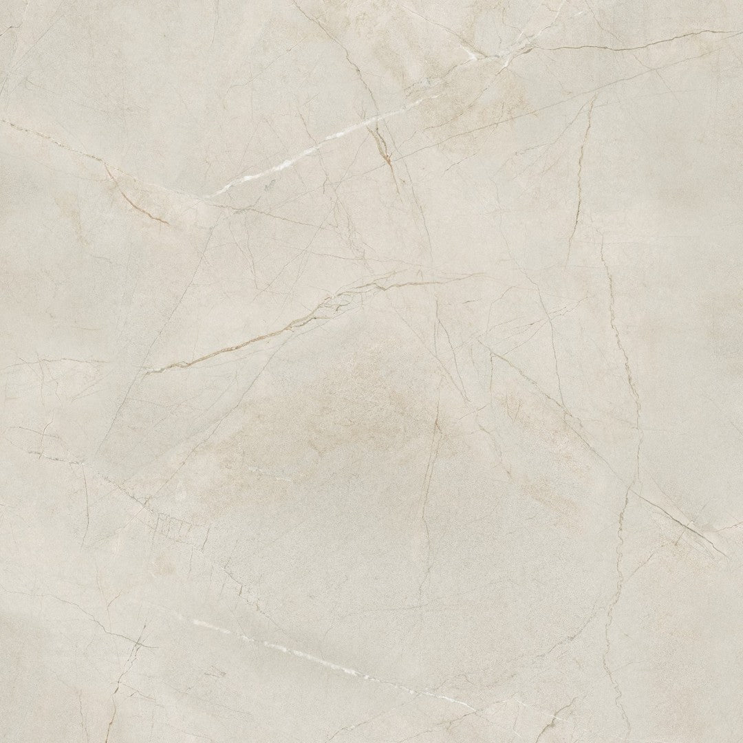 Crema Marfil 48" x 48" Matte Porcelain Field Tile by Bedrosians
