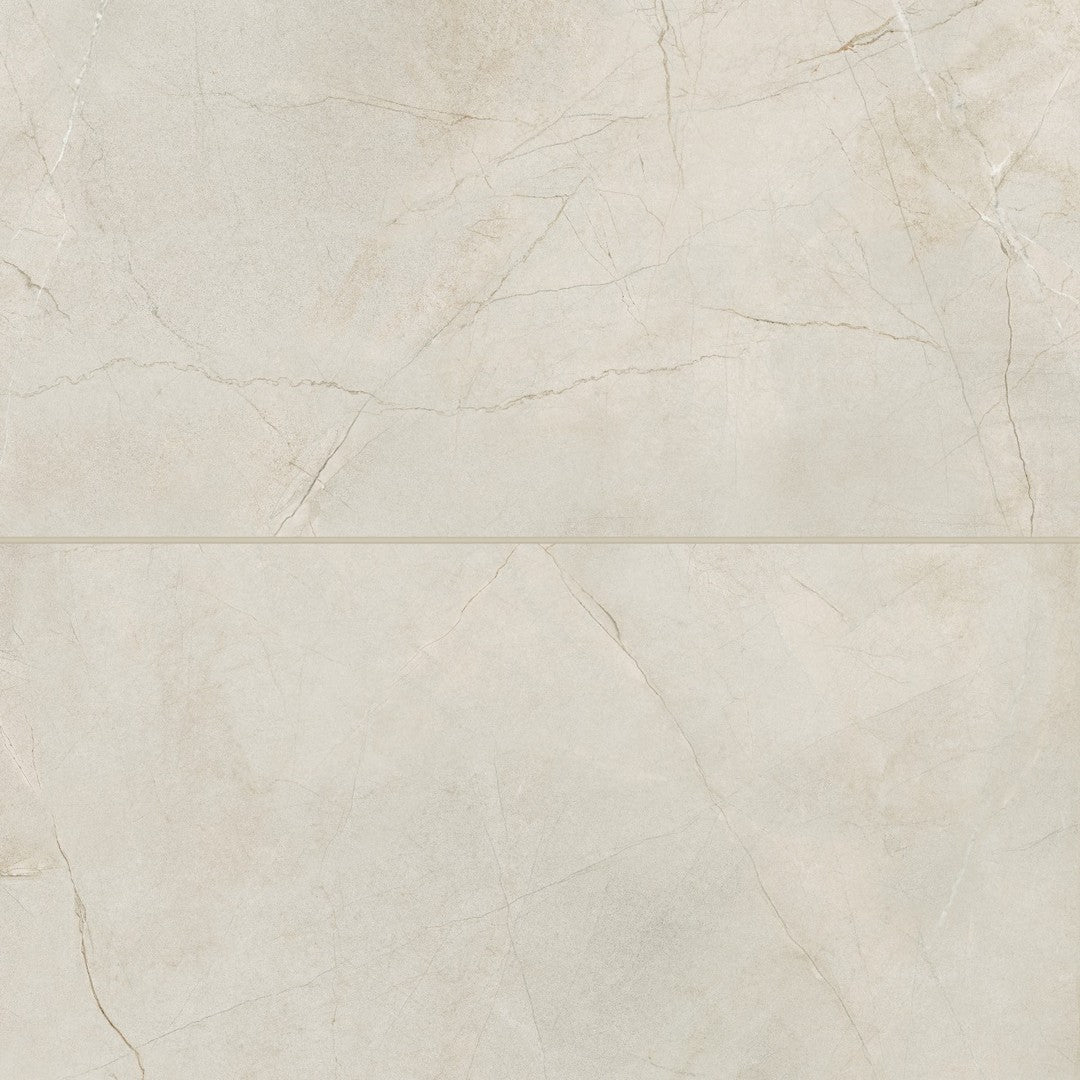 Crema Marfil 24" x 48" Matte Porcelain Field Tile by Bedrosians